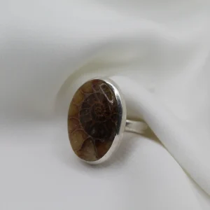 טבעת כסף בשילוב אבן אמוניט מאובן